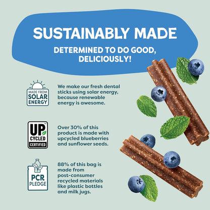 Shameless Pets Toothberry Dental Mini Chews for Dogs – Natural Dog Dental Sticks for Fresh Breath, Teeth Cleaning & Removes Tartar, Grain-Free Dog Treats, No Corn or Soy