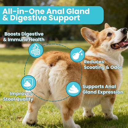 VUN Dog Anal Gland Chews,Stop Scoot Digestive Support with Pumpkin, Fiber & Probiotics,Anal Gland Relief for Dog,Scoot Relief & Healthy Bowel Function – 100 Chews