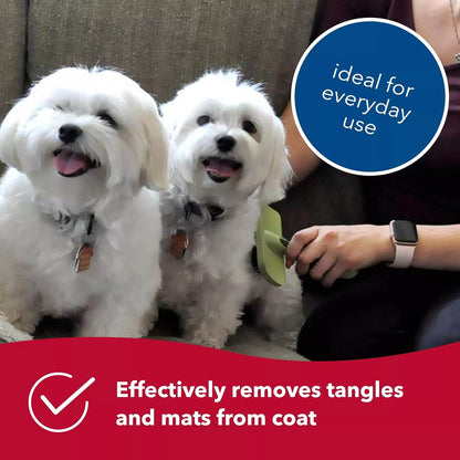 Coastal Dog Slicker Brush, Green - Grooming & Shedding Brush for Dogs of All Hair Types - Curved Design for Easy Detangling - Non-Slip Handle, 6.75'' x 4.25''