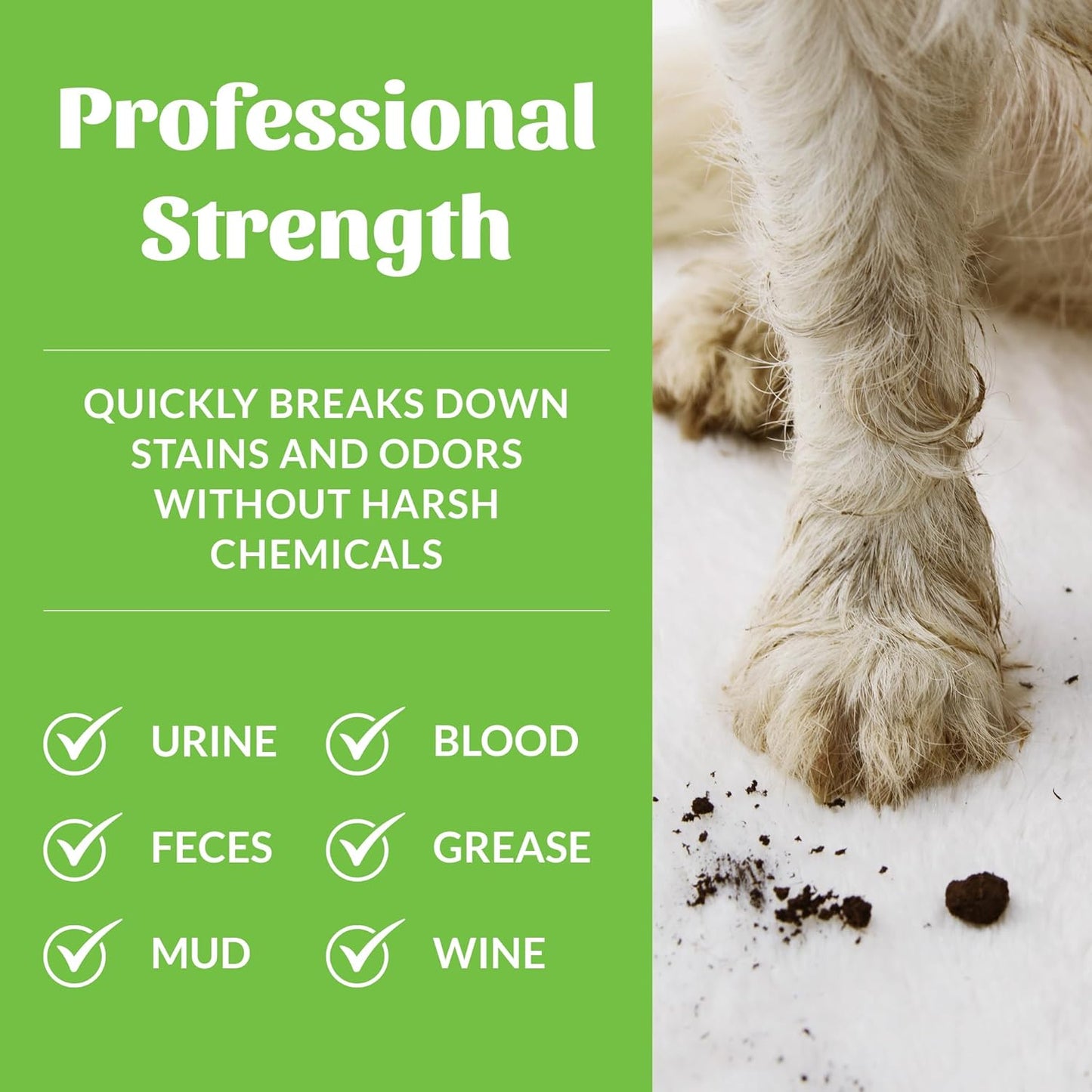 SKOUT'S HONOR Pet Stain and Odor Remover - Powerful Cleaner for Dog Urine, sweat, and other messes, Destroys and Removes Odor and Stain Molecules, Eco-Friendly Formula for Carpets and Home, 35oz