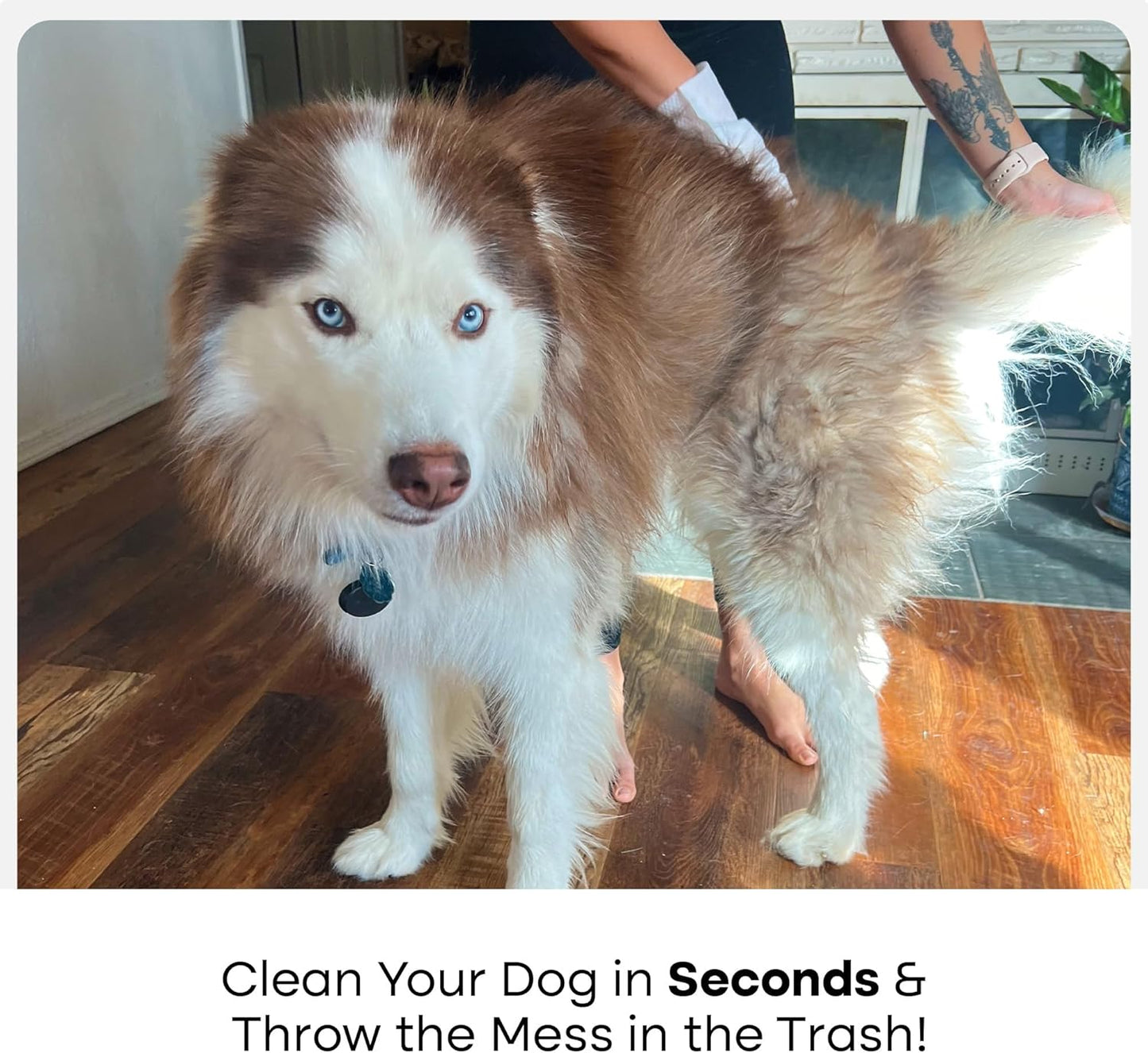 Uproot QuickClean Gloves Pro: Extra-Thick Pet Glove Wipes for Dogs & Cats - Easy Wipe Paws, Eyes, Ears, Butt, & Body - Lick-Safe for Cats & Dogs - Cleaning, Deodorizing & Grooming (20 Pack)