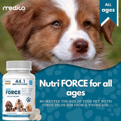 NutriForce 44-in-1 Multivitamin for Dogs – Daily Supplement for Hip & Joint, Skin & Coat, Immune, Digestion, Energy & Heart – 120 Chewable Tablets – Liver Flavor – All Breeds & Ages – Vet Recommended