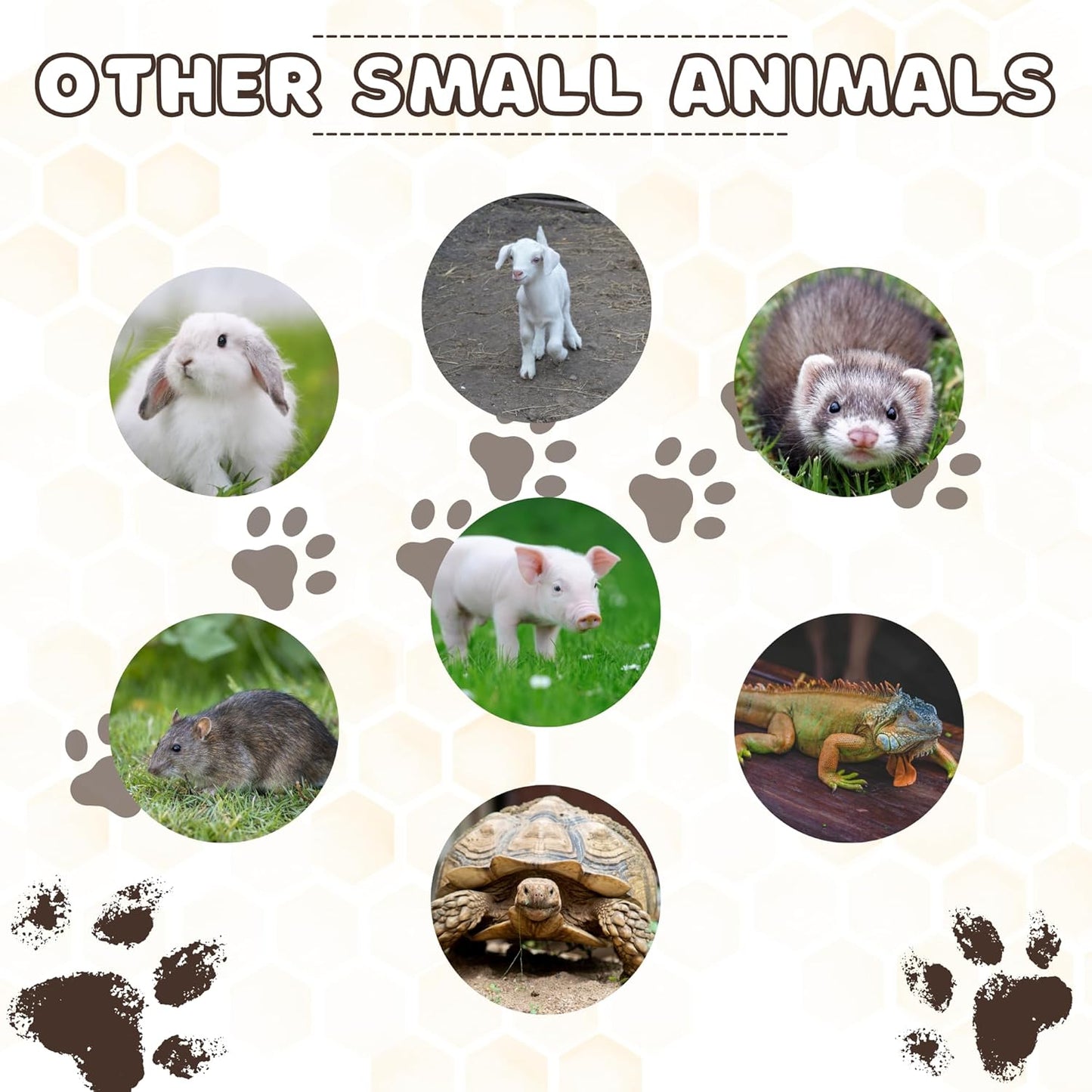 Pill Shooter for Dogs and Cats – Soft Tip Pet Piller for Easy Medication Delivery | Pill Gun Dispenser Tool for Small or Large Pets | Upgraded H- Bar Design Reusable Syringe Device – Blue, 1-Pack