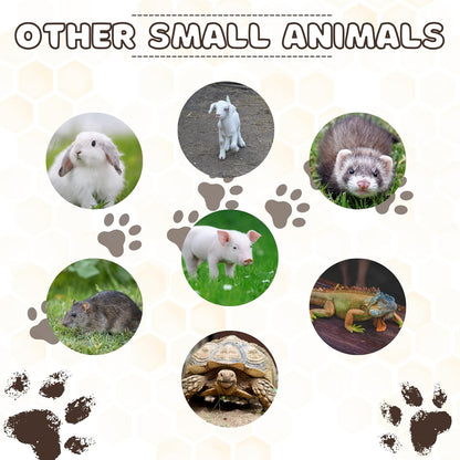 Pill Shooter for Dogs and Cats – Soft Tip Pet Piller for Easy Medication Delivery | Pill Gun Dispenser Tool for Small or Large Pets | Upgraded H- Bar Design Reusable Syringe Device – Blue, 1-Pack