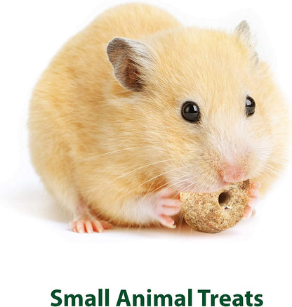 Kaytee Timothy Biscuits Baked Treat for Pet Guinea Pigs, Rabbits & Other Small Animals, Apple, 4 oz