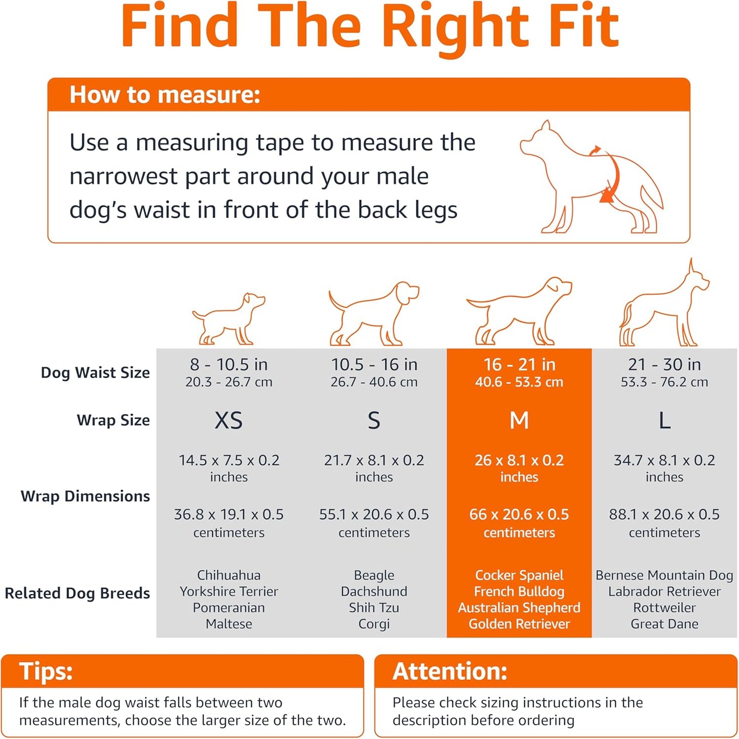 Amazon Basics Male Dog Diapers, 50 Count, Medium, Ultra Absorbent Disposable Wrap with Secure Fit, Leakproof and Comfortable