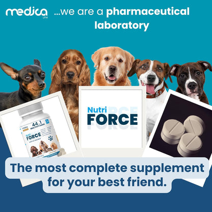 NutriForce 44-in-1 Multivitamin for Dogs – Daily Supplement for Hip & Joint, Skin & Coat, Immune, Digestion, Energy & Heart – 120 Chewable Tablets – Liver Flavor – All Breeds & Ages – Vet Recommended