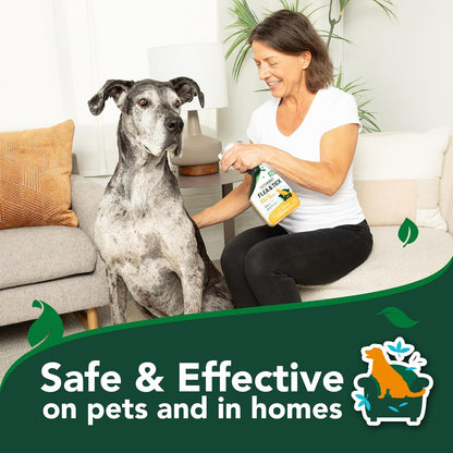 Vet’s Best Flea & Tick Home Spray for Dogs – Plant-Based Flea and Tick Treatment with Cotton Spice Scent – Indoor Flea Spray for Dogs – Made in USA Flea Control for Home Use – 32 oz