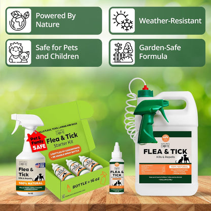 Nature’s Dome Flea & Tick Starter Kit – Makes 3 Bottles (16 oz Each) – Plant-Based, Eco-Friendly Formula – Kills & Repels Fleas, Ticks, Larvae & Eggs – Safe for Pets, Kids & Plants