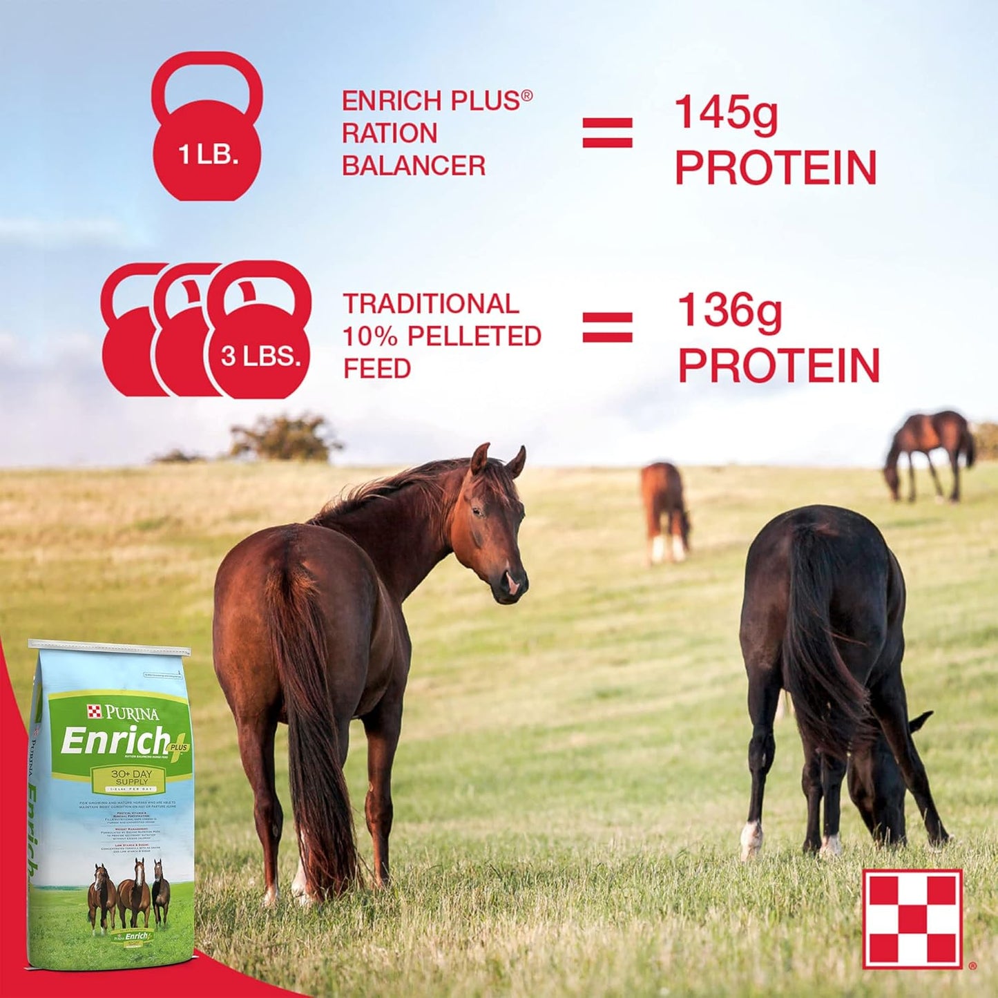 Purina Animal Nutrition Purina Enrich Plus Ration Balance Pellet