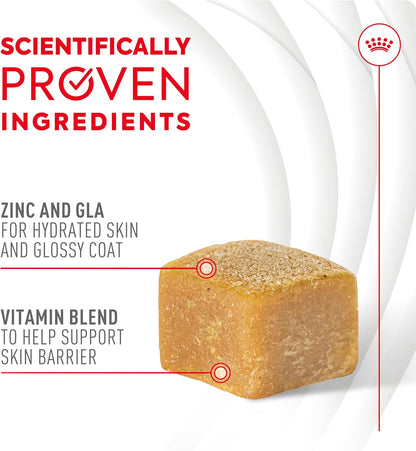 Royal Canin Skin & Coat Dog Supplement Soft Chews for Adult Dogs, 60 Count (Pack of 4)