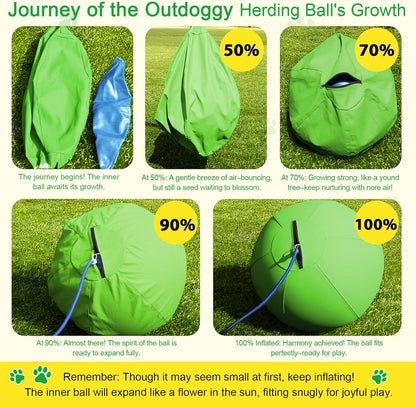 Herding Ball for Dogs 18 Inch - Dual-Layer Heavy Duty Herding Ball for Australian Shepherds, Border Collies & Corgis | Outdoor Herding Toy for Small/Medium Dogs - Backyard Training and Play - Green