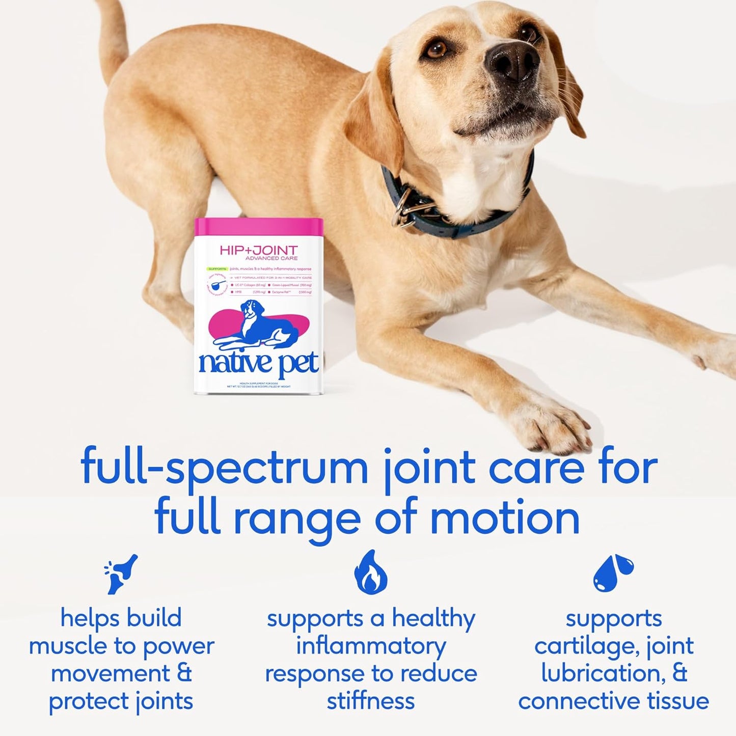 Native Pet Joint Health & Daily Wellness Pack: Hip & Joint Supplement for Dogs - Supports Joints, Cartilage, Muscles & Anti-Inflammatory & Dog Vitamins & Supplements 11-in-1 Multivitamin - 60 Scoops