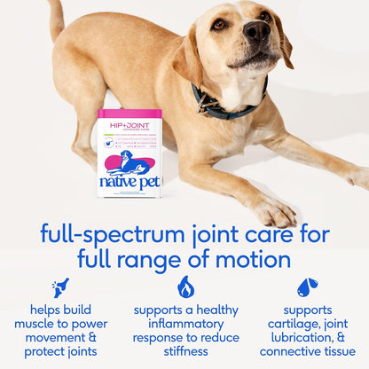 Native Pet Joint Health & Daily Wellness Pack: Hip & Joint Supplement for Dogs - Supports Joints, Cartilage, Muscles & Anti-Inflammatory & Dog Vitamins & Supplements 11-in-1 Multivitamin - 60 Scoops