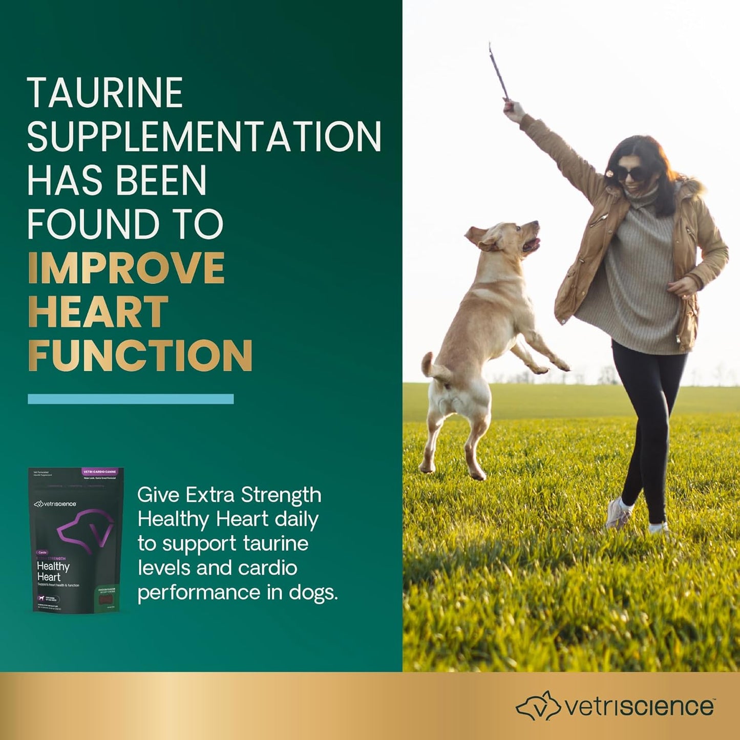 VetriScience Extra Strength Healthy Heart Chews, Vetri Cardio Supplement for Dogs, Heart Support Supplement with Taurine, Carnitine, CoQ10, Hawthorn and Berberine, Chicken, 60 Count