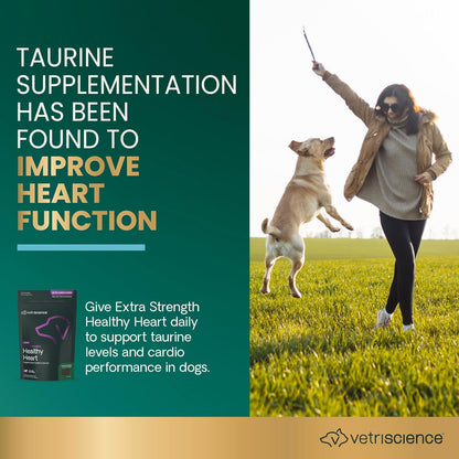 VetriScience Extra Strength Healthy Heart Chews, Vetri Cardio Supplement for Dogs, Heart Support Supplement with Taurine, Carnitine, CoQ10, Hawthorn and Berberine, Chicken, 60 Count