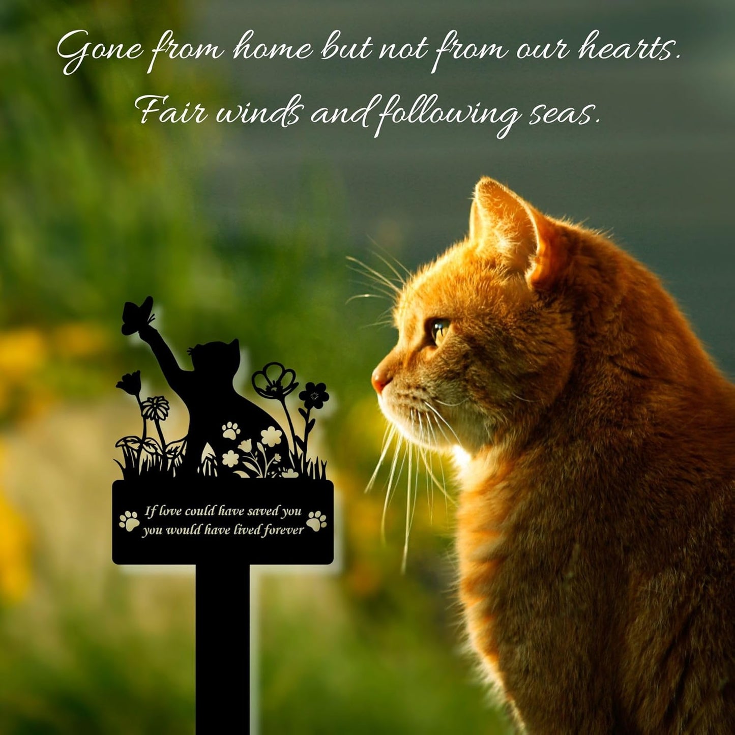 If Love Could Saved You Cat Grave Marker – 12in Metal Pet Memorial Plaque with Butterfly Design, Weatherproof Cat Headstone for Indoor or Garden Remembrance, Sympathy Gift for Loss of Pet