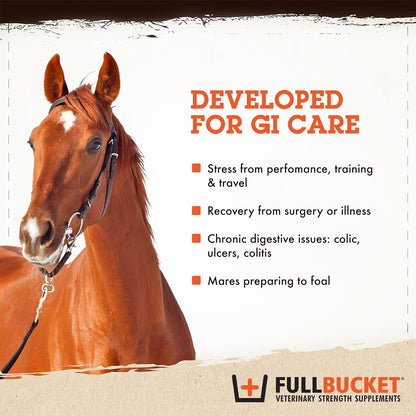 FullBucket Equine Probiotic Pellets with Saccharomyces boulardii for Horses Under Stress or for Horses with Digestive Issues - 25 Billion CFUs - 30 Servings