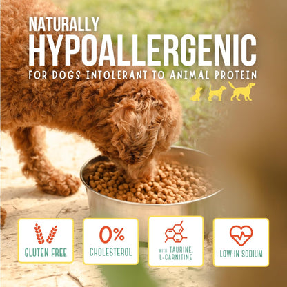 The Green Dog: Super Premium - Adult Small Bite - 6.6 Lb Bag Dog Food - Plant Based Protein, Vegan Dry Pet Kibble, Gluten Free, Complete Nutrition