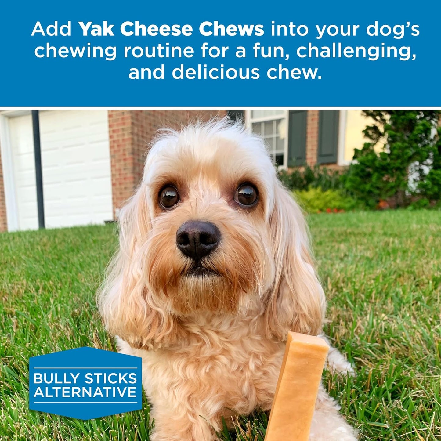 Best Bully Sticks Himalayan Yak Cheese for Dogs - X-Large 4 Count (Pack of 1) - Natural, No Lactose, Odor Free, Long-Lasting Snack