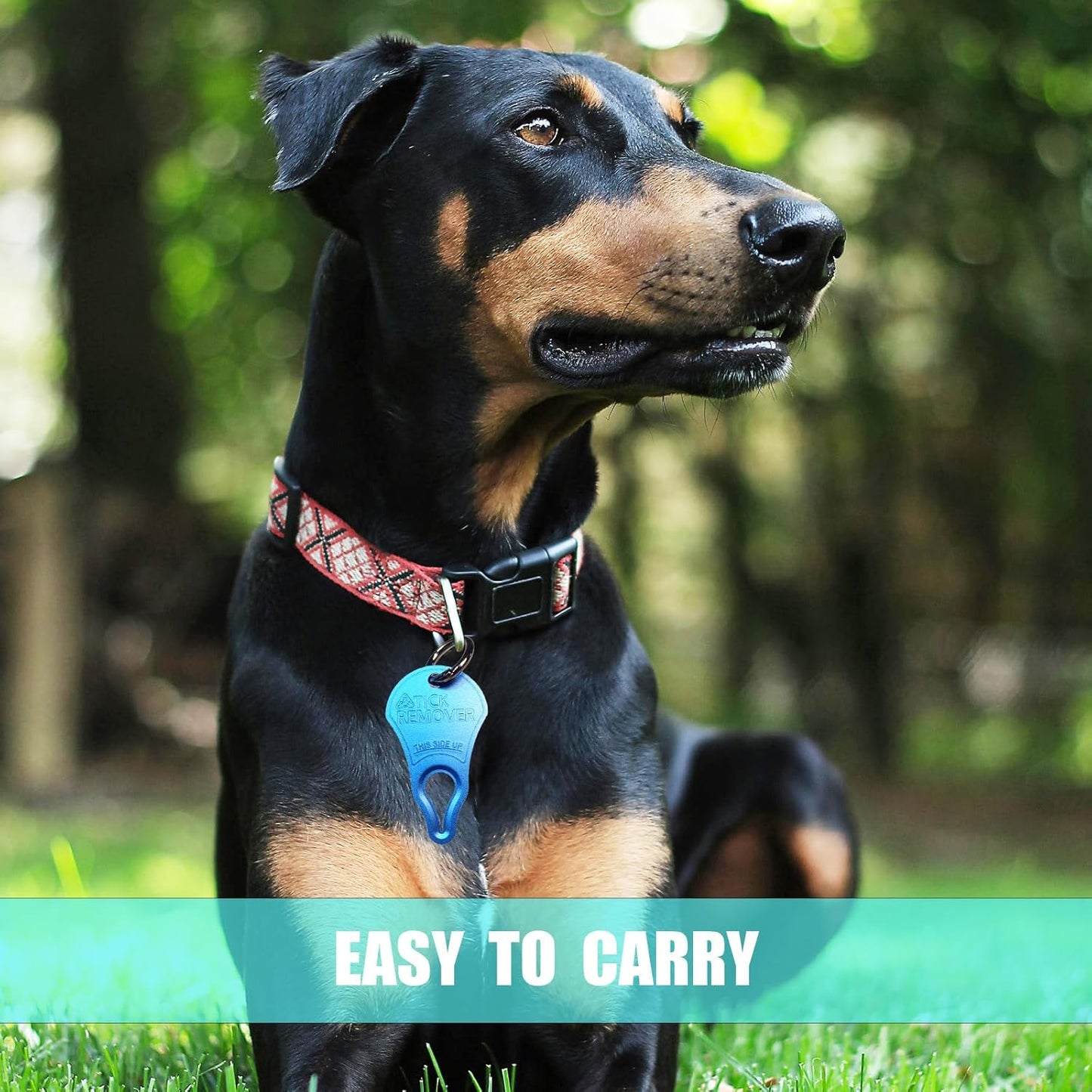 Tick Remover Tool 3 Pack – Portable Tick Key for Pets, Dogs, Animals, and Humans – Quick & Safe Tick Removal Tool – Essential Outdoor Camping Gear for Easy and Reliable Use