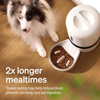 PETLIBRO Slow Feeder Bowl for Small Dogs & Cats, 1.125 Cup— Anti-Gulp Stainless Steel Dog & Cat Bowl, Helps Reduce Risk of Bloat, Dishwasher Safe — Compatible with PETLIBRO Camera Automatic Feeder