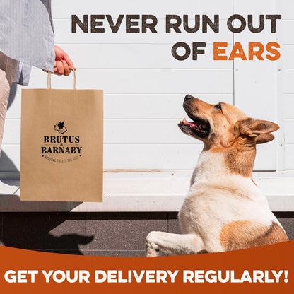 BRUTUS & BARNABY Branded Cow Ears for Dogs – Whole Ears, Thick Cut, Grass-Fed Angus Beef, All-Natural No-Rawhide Dog Treat Alternative (30 Count)