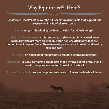 Equithrive Horse Hoof Supplement Pellets with Biotin, Chelated Trace Minerals, Selenium, Methionine, and Omega 3, Equine Hoof Care, 3.3 lbs