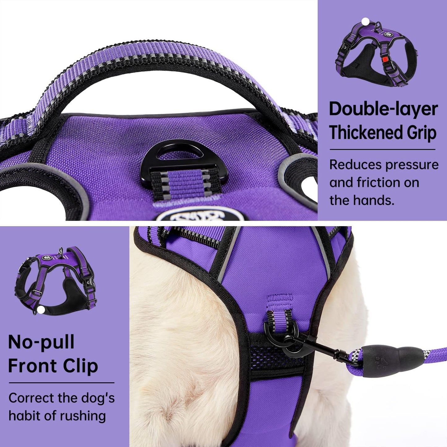 IVY&LANE No Pull Dog Harness for Medium Dogs, Dog Vest Harness with Leash, Safety Belt and Storage Strap, Fully Adjustable Harness, 360?Reflective Strip, Soft Handle (Purple, M)