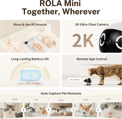 Enabot EBO ROLA Mini FamilyBot 2K Pet Camera Robot: Movable Indoor Camera Battery-Powered with Phone App, One-Touch Call, 2-Way Talk, Night Vision, Motion Detection, Video Recording