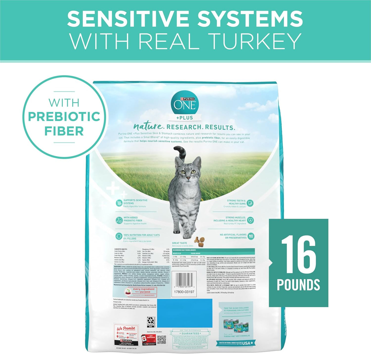 Purina ONE Sensitive Stomach, Sensitive Skin, Natural Dry Cat Food, +Plus Sensitive Skin and Stomach Formula - 16 lb. Bag