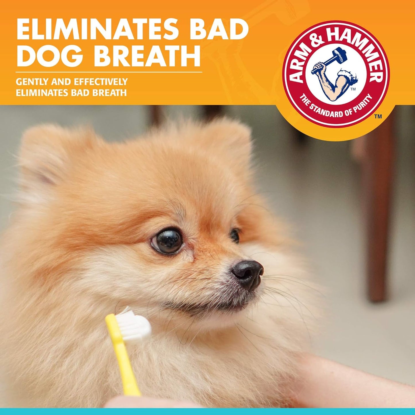 Arm & Hammer for Pets Dental Enzymatic Toothpaste for Dogs | No More Doggie Breath | Dog Toothpaste Safe for All Dogs and Puppies, Advanced Care, Chicken Flavor 2.5 Ounce (Pack of 2)