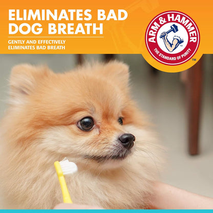 Arm & Hammer for Pets Dental Enzymatic Toothpaste for Dogs | No More Doggie Breath | Dog Toothpaste Safe for All Dogs and Puppies, Advanced Care, Chicken Flavor 2.5 Ounce (Pack of 2)