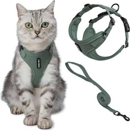 Voyager Escape-Proof Step-in Lock Cat Harness & 5ft Neoprene-Handle Leash Set All-Weather Mesh with Reflective Stitching for Small to Large Cats by Best Pet Supplies, Moss Green (327), XS
