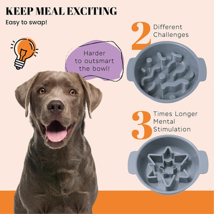 AVERYDAY Slow Feeder Dog Bowl Set with 1 Base and 3 Puzzle Inserts Customizable Design BPA-Free and Dishwasher Safe for Small Medium Large Dogs