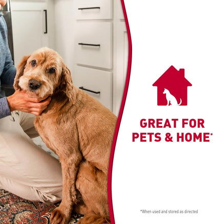 Nature's Miracle Stain & Odor Remover Foaming Aerosol For Dogs, 17.5 Oz (P-68340) (Pack of 2)