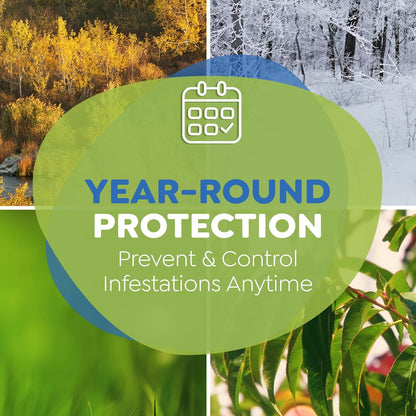 Riddy Flea & Tick Natural Spray for Pets with Essential Oils Safe Non-Hazardous Indoor and Outdoor Control, 8 oz