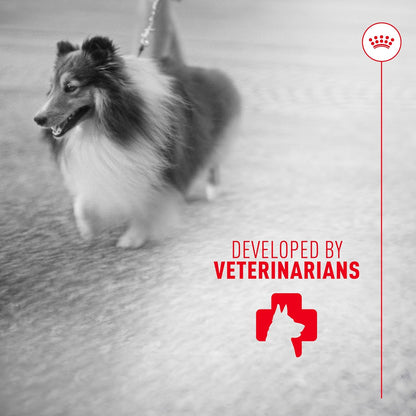 Royal Canin Skin & Coat Dog Supplement Soft Chews for Adult Dogs, 60 Count (Pack of 4)