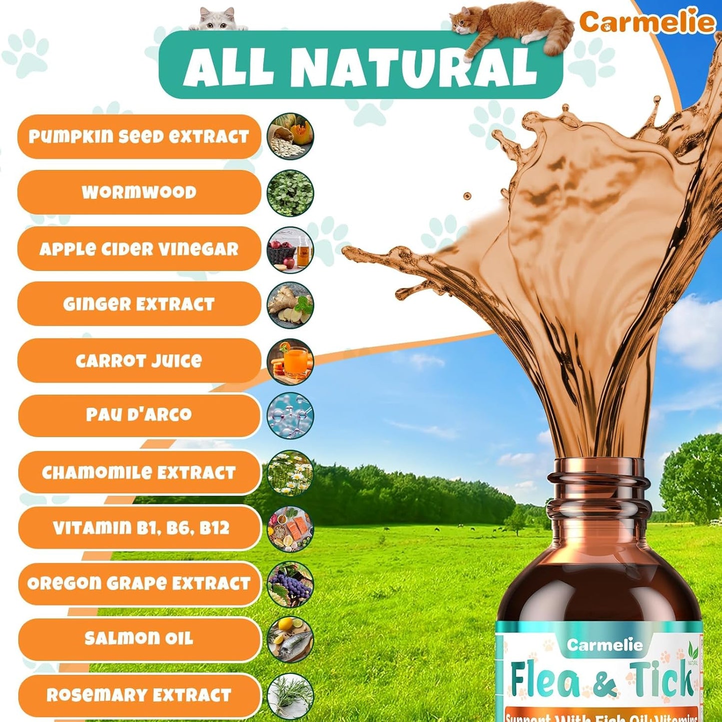 Flea and Tick Support for Cats, Natural Cat Flea Liquid Drops, Flea & Tick Supplement with Vitamins & Fish Oil for Cats - All Breeds, Kittens to Senior Cat - Chicken Flavor