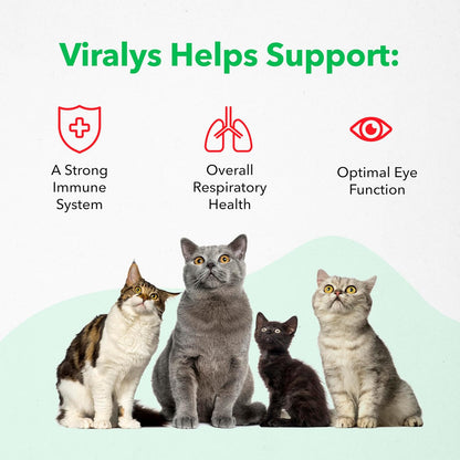 Vetoquinol Viralys Daily L-Lysine Gel for Cats and Kittens, Maple Flavored Lysine Supplement for Cats and Kittens to Support Immune Health, Normal Eye Function and Respiratory Health, 5oz