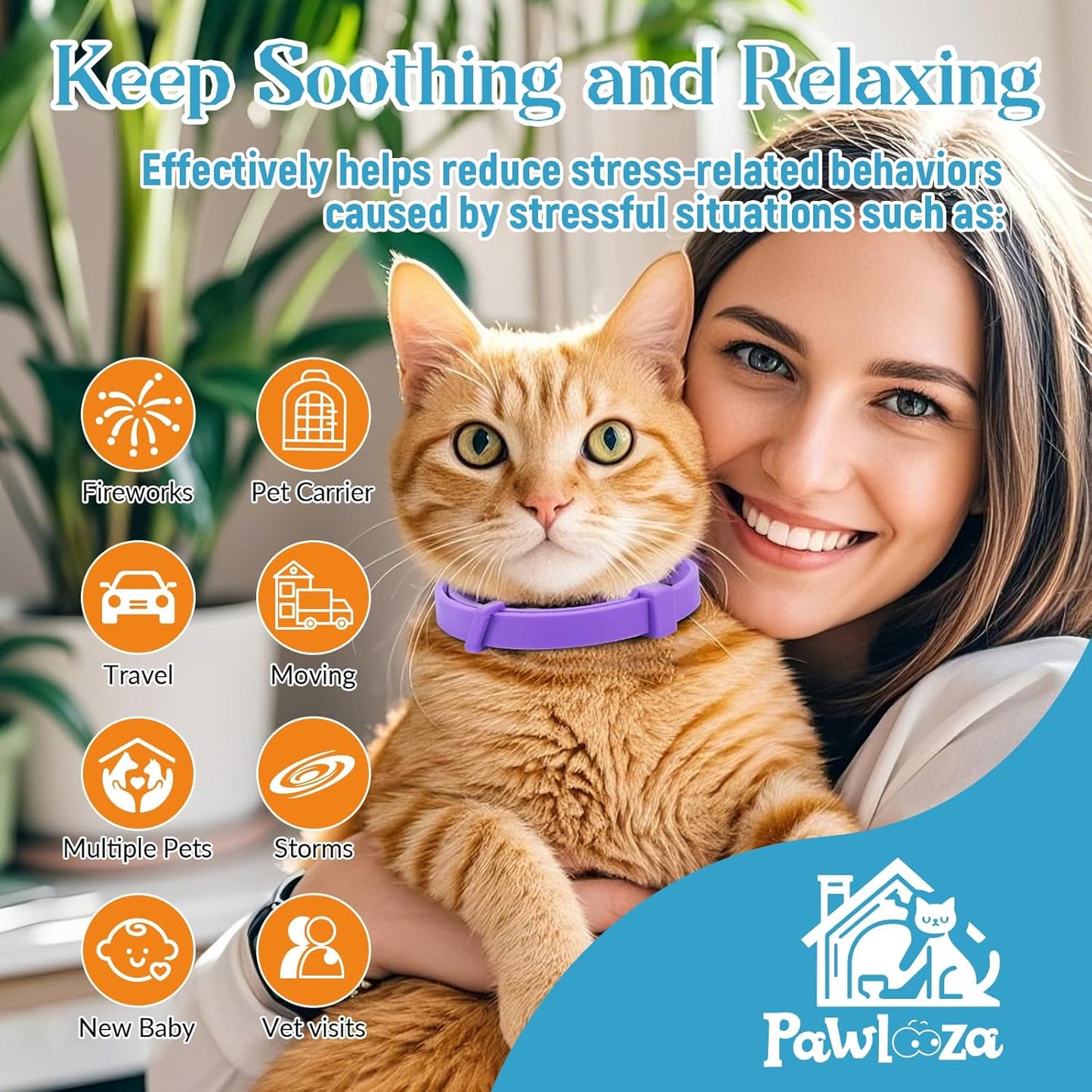 Probiotics for Dogs, Improve Itchy Skin Itchy Ears + Calming Collar for Cats