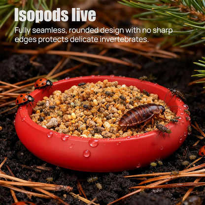 12-Pack Small Feeding Dish for Reptiles, Colorful Feeder Bowls for Isopods, Springtails, Dubia Roaches & Dwarf Invertebrates, Mini Food Bowls for Terrarium & Enclosure