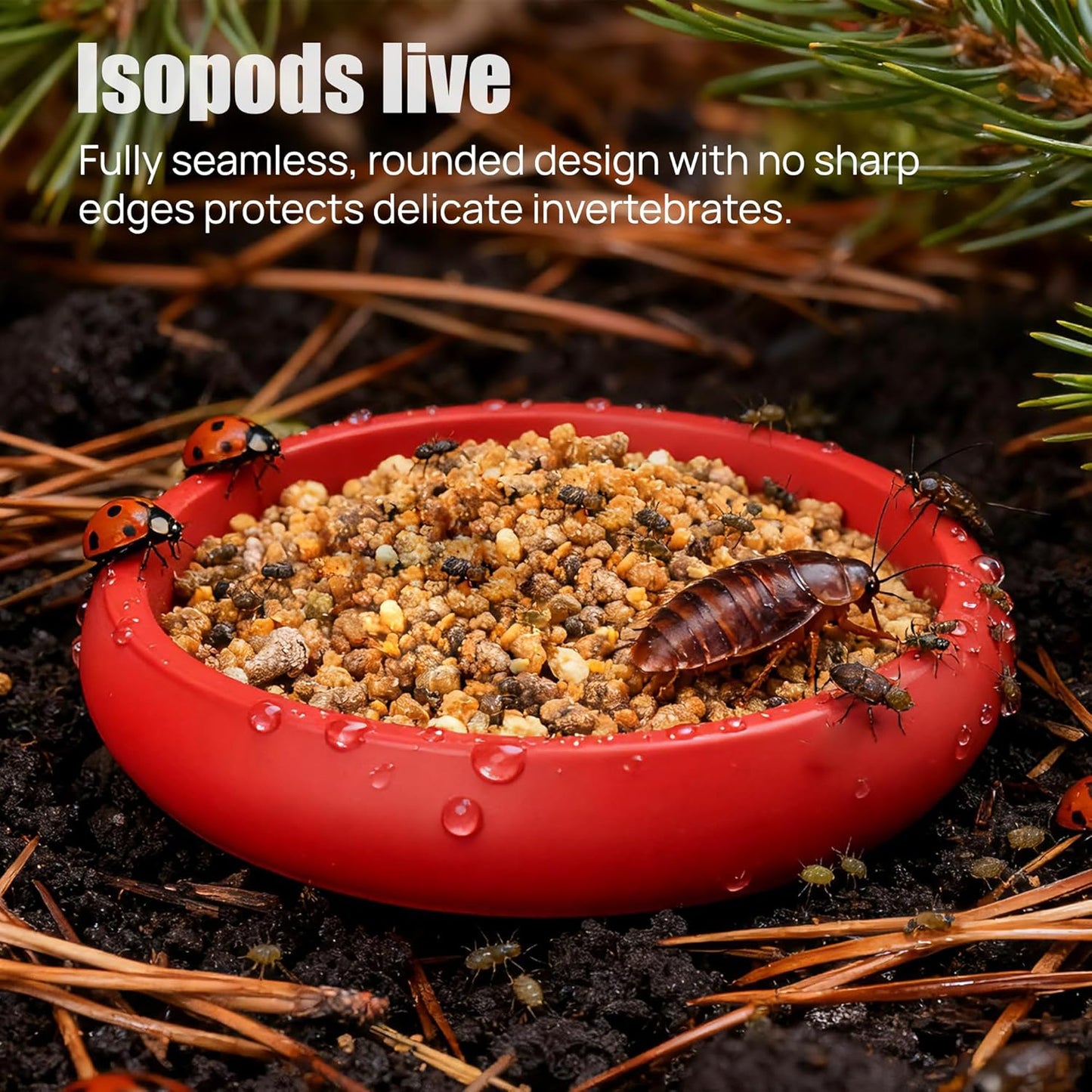 12-Pack Small Feeding Dish for Reptiles, Colorful Feeder Bowls for Isopods, Springtails, Dubia Roaches & Dwarf Invertebrates, Mini Food Bowls for Terrarium & Enclosure