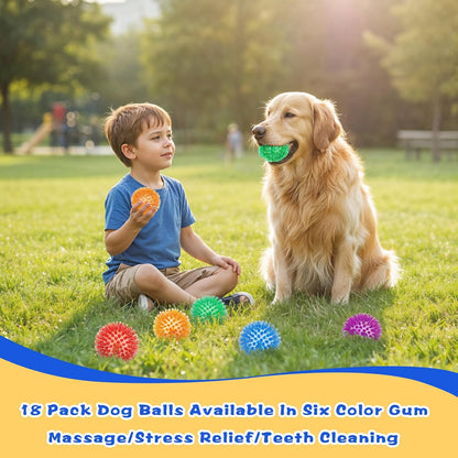 18 Pcs Squeaky Dog Toy Balls, 2.5 Inch Bulk Durable Spikey Dog Balls 6 Colors Puppy Chew Toys for Small Medium Large Dogs Clean Teeth and Training