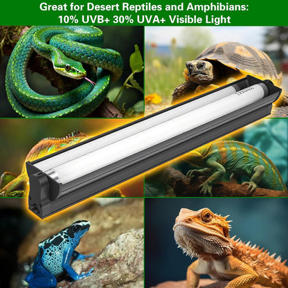 T8 UVB Reptile Light Fixture HO UVB Bulb Lighting Combo Kit with 18 Inch 15 Watt UVB 10.0 Fluorescent Bulb,Reptile Strip Light UVA UVB Desert Lamp Pet Habitat Light for Reptiles Amphibian-T8 15W G13