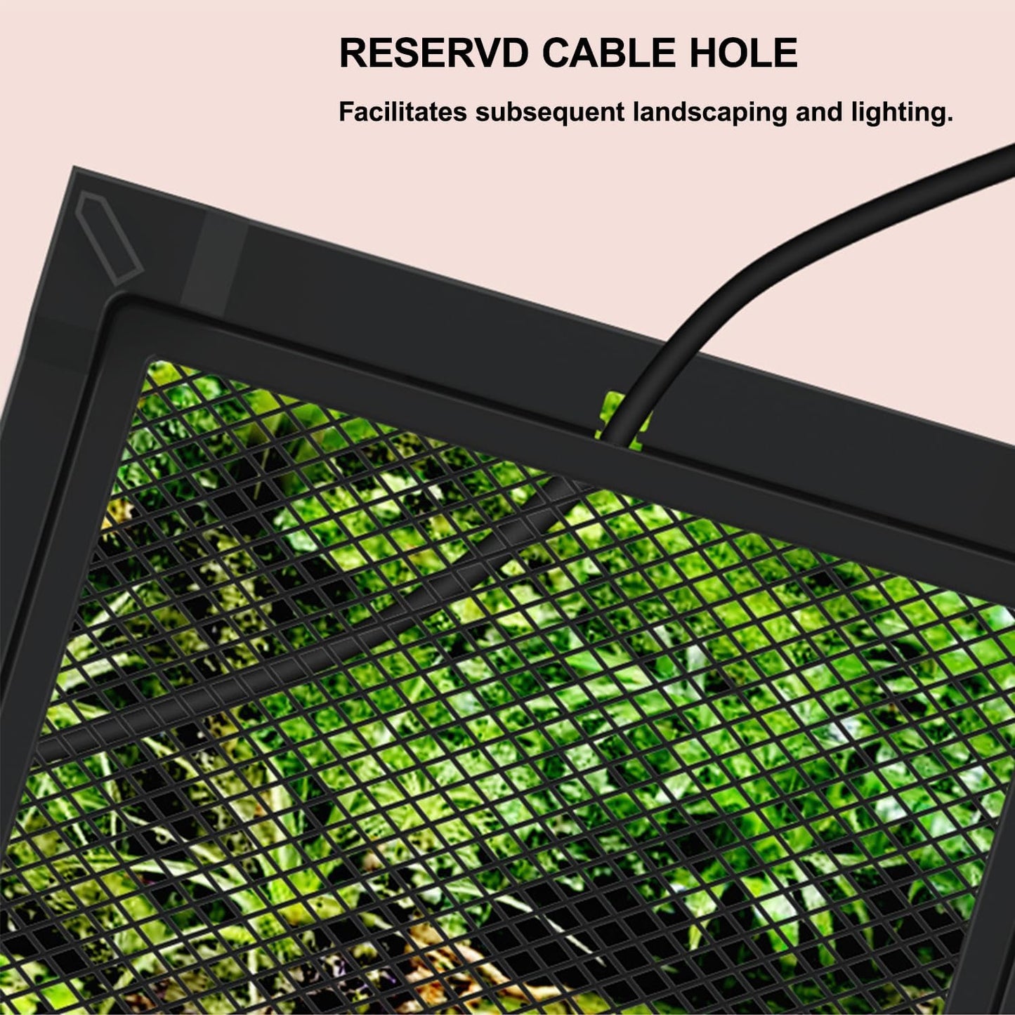 Reptile Tall Glass Terrarium Rainforest Habitat Single Door with Screen Ventilation,Small Reptile Terrarium for Spiders, Tarantulas, Snail, Mantis, Lizard (8 * 8 * 12 inch)