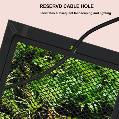 Reptile Tall Glass Terrarium Rainforest Habitat Single Door with Screen Ventilation,Small Reptile Terrarium for Spiders, Tarantulas, Snail, Mantis, Lizard (8 * 8 * 12 inch)