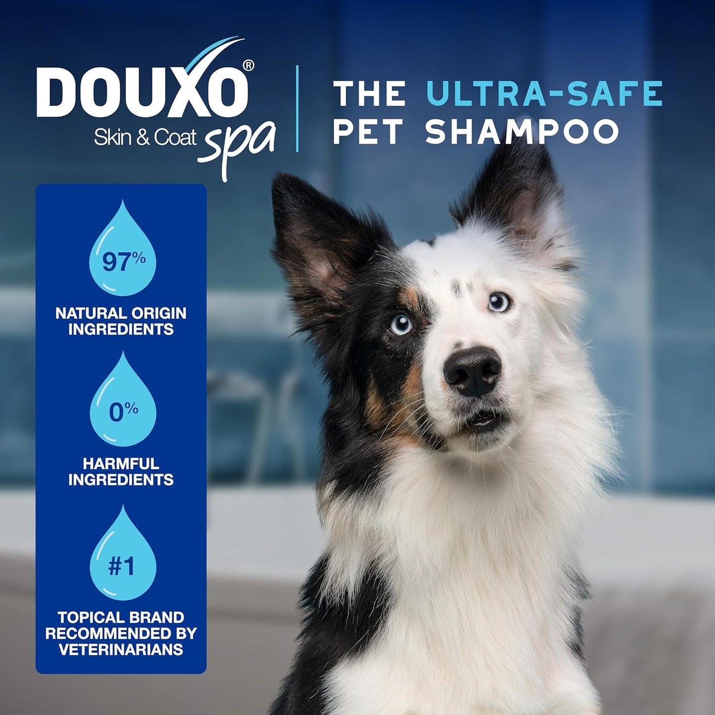 DOUXO® Skin & Coat SPA - Ultra-Safe Quick Refresh Leave-on Mousse for Dogs, 10 fl oz, Safely Cleans and Refreshes, Leaves The Coat Soft, Radiant and Smelling Great, Skin-Friendly Formula
