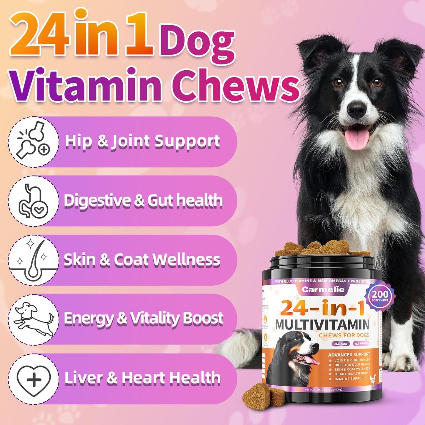 Dog Vitamins, 24 in 1 Dog Vitamins and Supplements 200 Chews with Glucosamine Probiotics Omega-3 Dog Multivitamins Chewable for Hip & Joint, Skin & Coat, Immune Health, Digestive (Chicken)