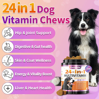 Dog Vitamins, 24 in 1 Dog Vitamins and Supplements 200 Chews with Glucosamine Probiotics Omega-3 Dog Multivitamins Chewable for Hip & Joint, Skin & Coat, Immune Health, Digestive (Chicken)